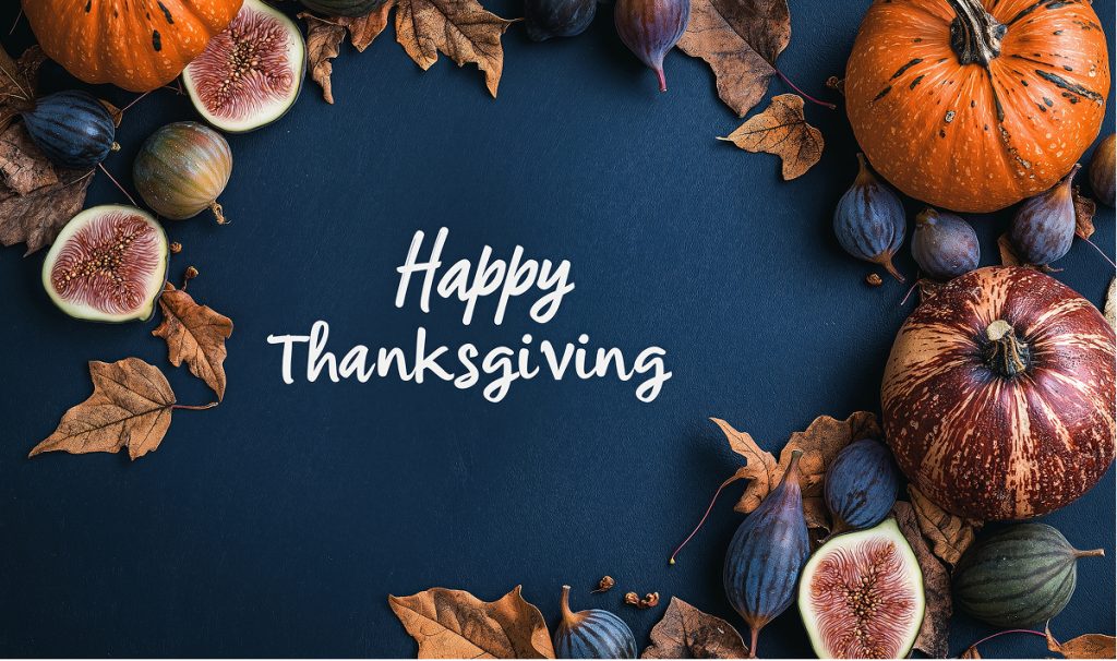 Thanksgiving 2025: Best Time for Travel Agencies & Restaurants to Level Up Your Business’s Digital Game